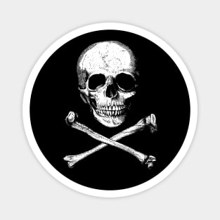 Skull And Crossbones Magnet